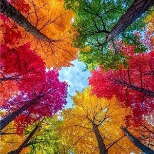 Meet your Posher, Uyen